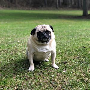 Meet your Posher, Cassie